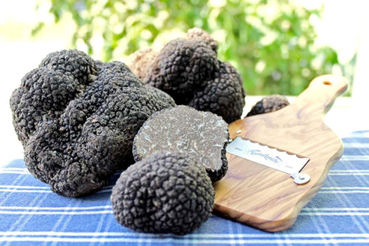 Indirizzi speciali per mangiare il tartufo