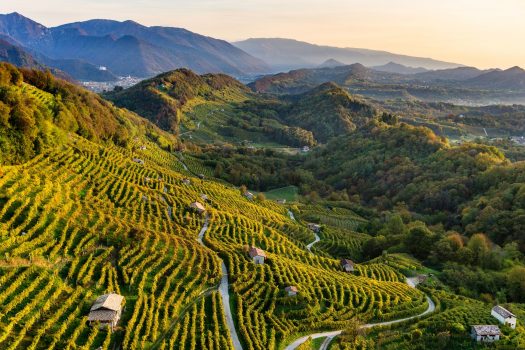 5 cantine da visitare nelle colline del prosecco