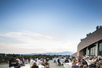 Le 6 cantine toscane dove divertirsi quest’estate