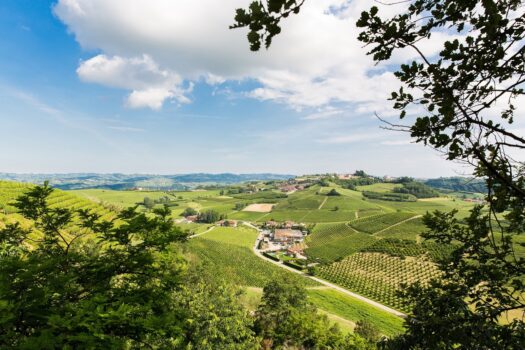 CON LA PRIMAVERA TORNANO GLI OPEN DAYS: UN RICCO CALENDARIO DI APERTURE GRATUITE PER SCOPRIRE I SENTIERI DEI FRESCANTI E IL TERRITORIO DEL ROERO